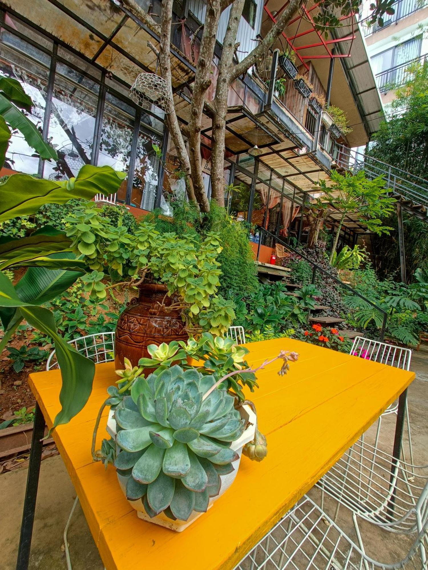 Lalaland Homestay Νταλάτ Δωμάτιο φωτογραφία