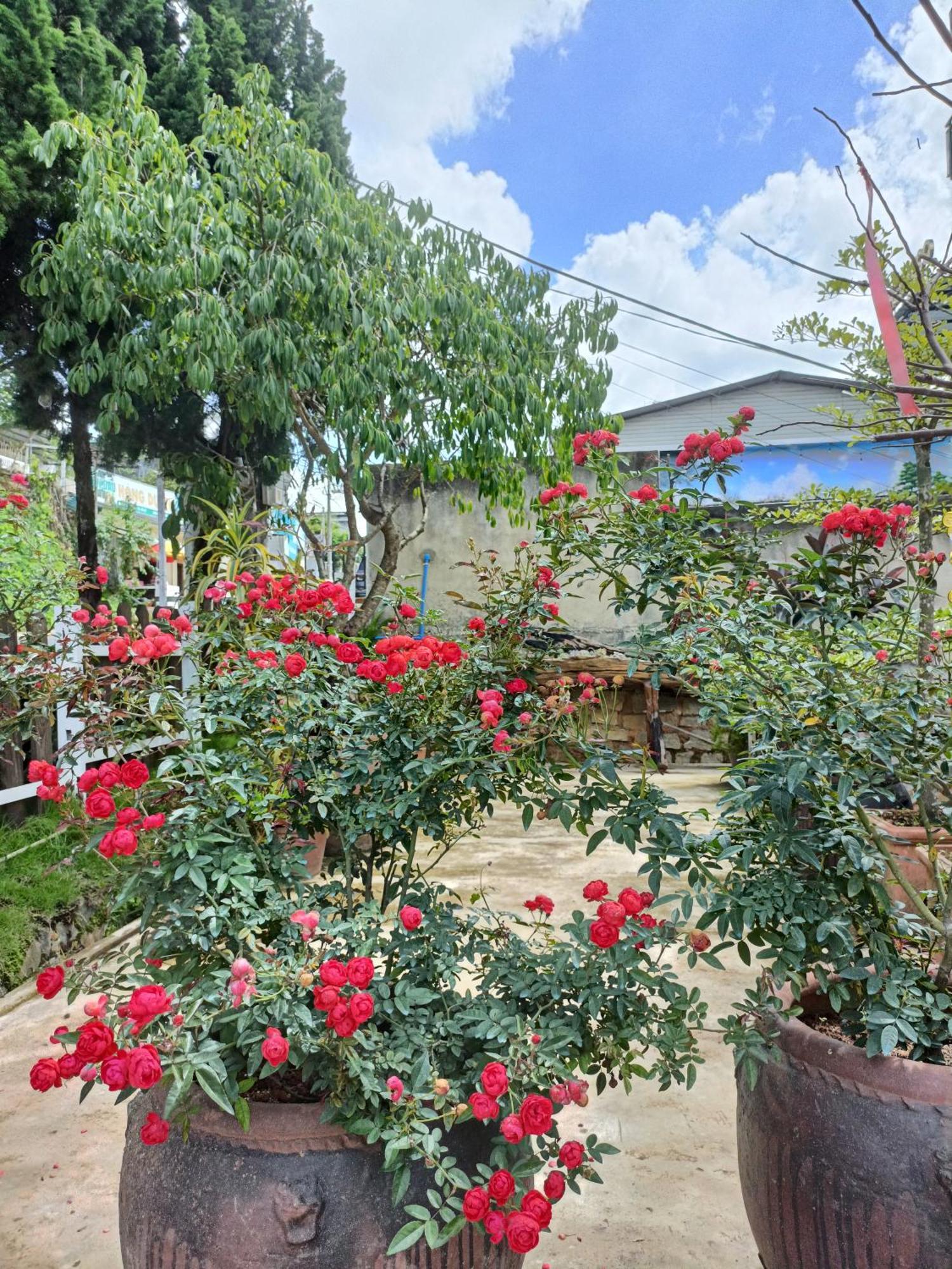 Lalaland Homestay Νταλάτ Εξωτερικό φωτογραφία